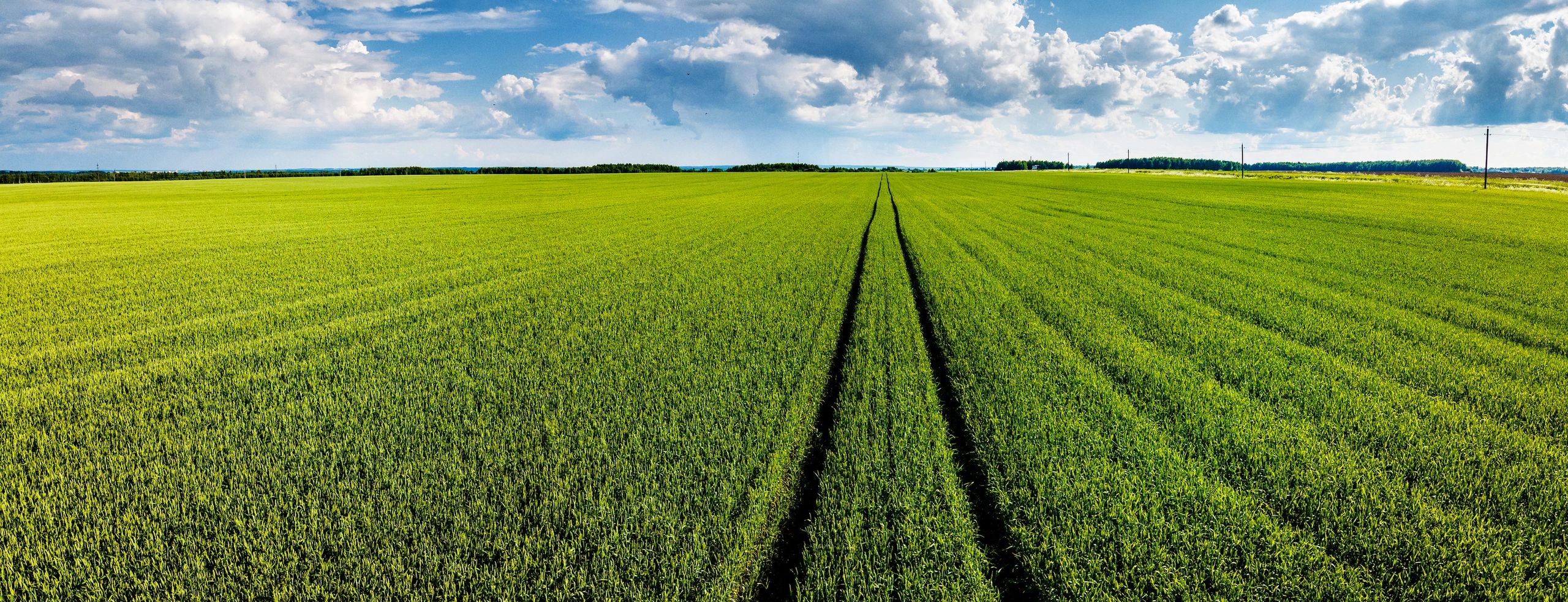 Aerial panoramic view of a green pasture under blue skies
