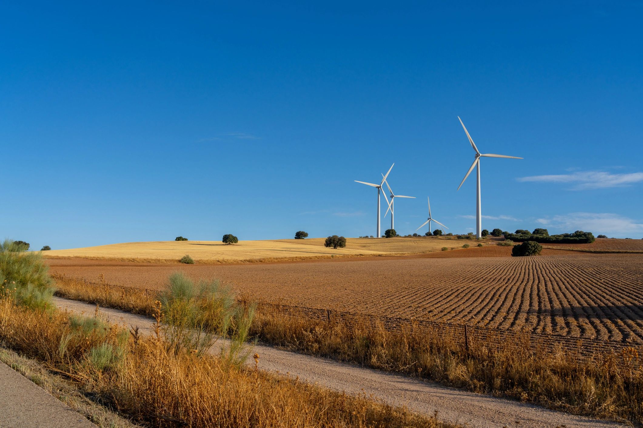 Wind turbines in a rural landscape under a clear blue sky